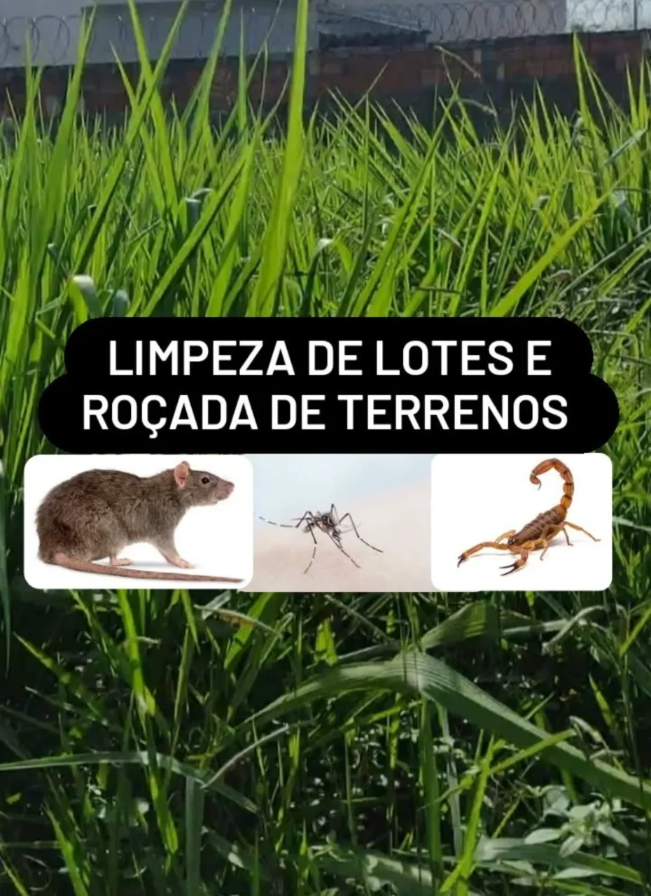 Foto de 4K SERVIÇOS ZELADORIA 